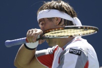 Semifinále dvojhry mužov na US Open Ferrer - Djoko