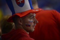 Zápas Slovensko - Slovinsko