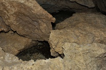 Otvorenie Brestovskej jaskyne