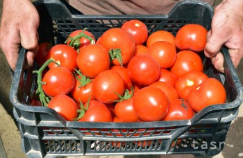Dajte stop vráskam vďaka paradajkovej pilulke 