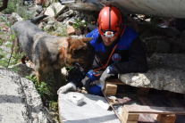 Tréning záchranárskych psov na vyhľadávanie osôb