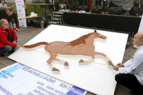 Rekordná torta v tvare koňa
