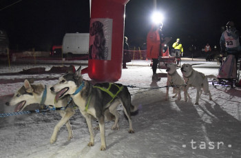 Preteky psích záprahov pri Dobšinskej ľadovej jaskyni v nedeľu zrušili