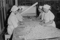 Výroba vianočných sladkostí za socializmu