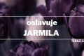 Meno Jarmila má slovanský pôvod, jeho význam je milujúca jarosť