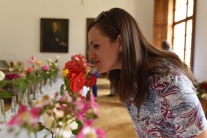 Desiaty ročník Slávnosti ruží v Dolnej Krupej