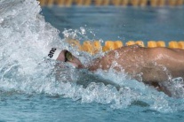 Plavec Dominik Kozma 