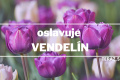 Vendelín je činný