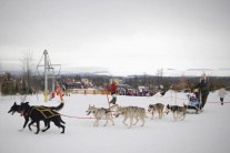 Festival Snežné psy