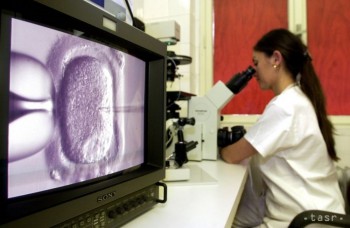 OBJAV: Vedci vyvinuli spermie v skúmavke