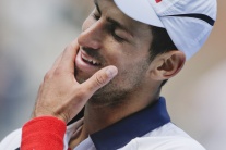 Semifinále dvojhry mužov na US Open Ferrer - Djoko