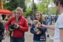 V Horskom parku si možno adoptovať psíkov