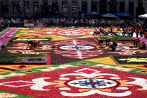 Kvetinový koberec v Bruseli