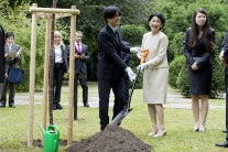 Japonský princ a princezná zasadili strom sakury