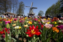 Najväčší kvetinový park v Európe zakvitol