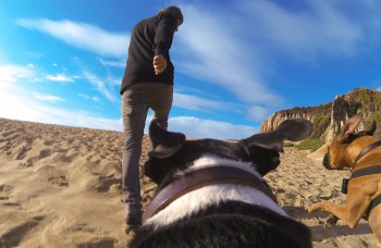 Kamera pre psíkov vám umožní nahliadnuť do ich sveta
