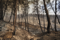Hasiči zasahovali pri požiaroch v Aténach