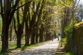 V Nitrianskom kraji obnovujú parky a vytvárajú oddychové zóny