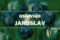 Meno Jaroslav má slovanský pôvod a jeho význam je sláv silu