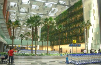 Úžasné letisko Changi: Vyrastie v ňom les s vodopádom