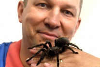 Výstava pavúkov v Košiciach
