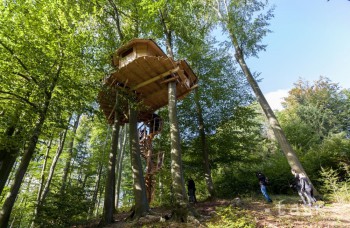 Chcete nocovať na strome? Navštívte rozprávkový domček v Bratislave