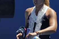 Dominika Cibulková  vs Francesca Schiavoneová