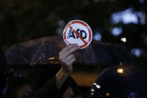 Demonštranti proti Alternatíve pre Nemecko (AfD)
