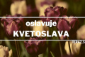 Kvetoslava je cieľavedomá