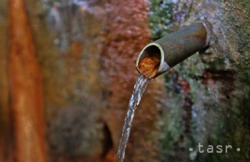 Medokýše na Štiavničkách a Rudlovej sú obľúbenými zdrojmi vody