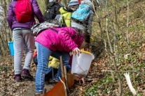 životné prostredie ekológia príroda akcia|Slovensk