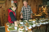 Obecná výstava húb v Malinovej