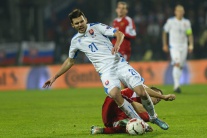 EURO 2016: Slovensko - Bielorusko