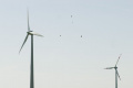 V Holandsku chcú cez kamery zistiť koľko vtákov zabijú veterné turbíny