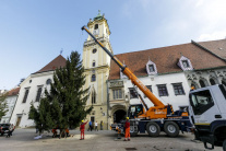 Osádzanie vianočného stromčeka v Bratislave