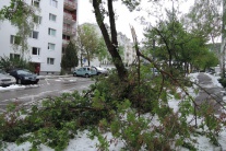 Slovensko Bratislava Lamač katastrofy počasie žive